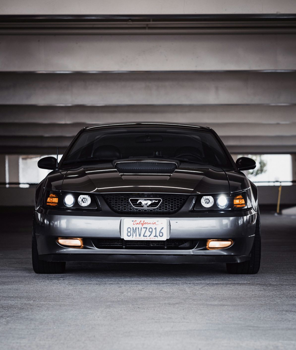 San Diego paint protection film